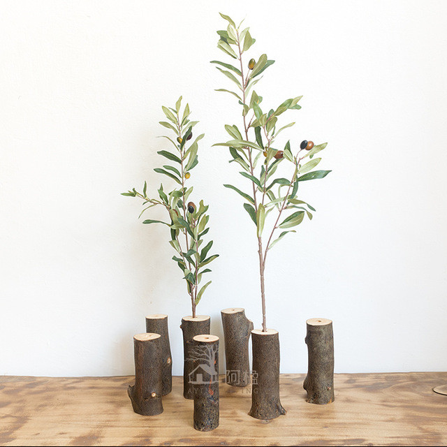 Hiện bonsai ô liu đang được rao bán trên mạng với giá dao động trên dưới 1 triệu đồng. Ảnh: vi.aliexpress.com.