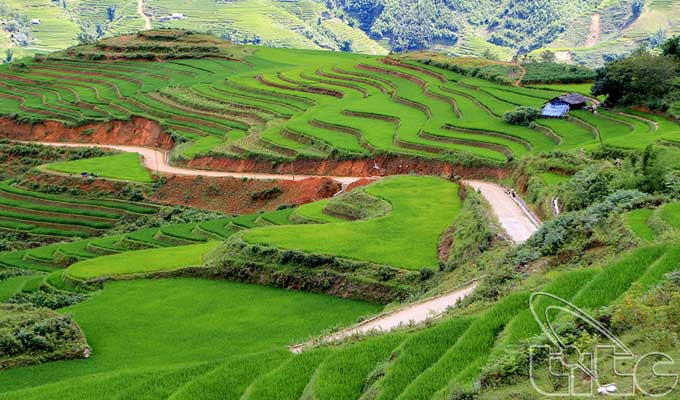 Sa Pa vinh dự góp mặt trong danh sách 50 điểm đến đẹp nhất châu Á do Tạp chí Condé Nast Traveler bình chọn.