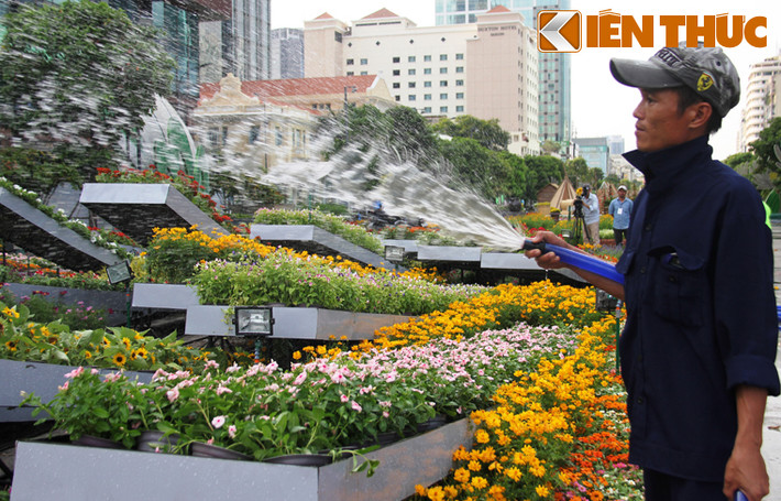 Những khóm hoa được phun tưới, chăm sóc thường xuyên.