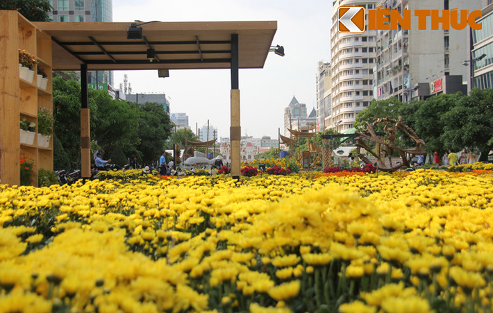 Phố đi bộ Nguyễn Huệ với hàng trăm loài hoa từ khắp nơi được đưa về trang trí khiến con đường rực rỡ sắc màu.