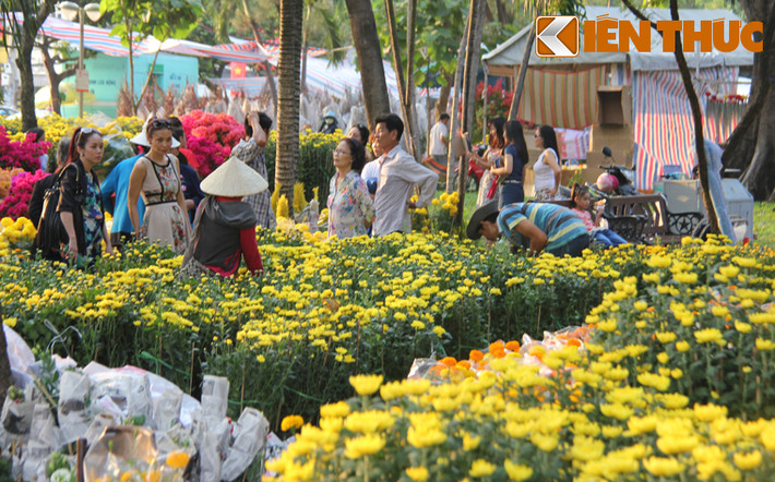 Hàng loạt chợ hoa tết như khu công viên 23/9, công viên Lê Văn Tám, công viên Gia Định...tấp nập người đến ngắm và mua hoa.