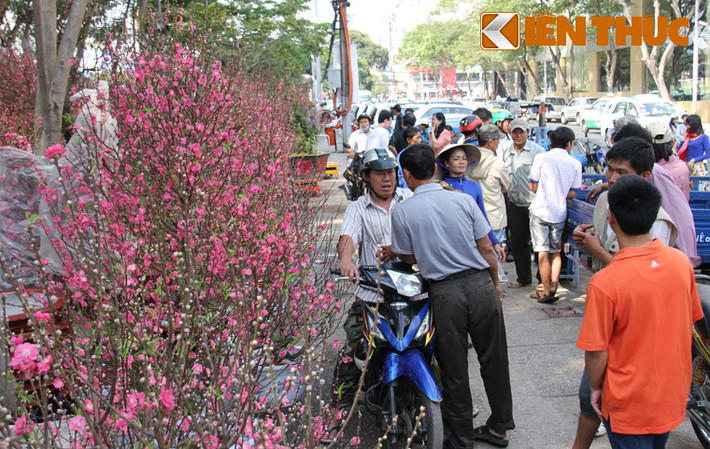 Đào phương Bắc được bán tại các chợ hoa ở TP HCM thu hút nhiều người mua để trưng tết.