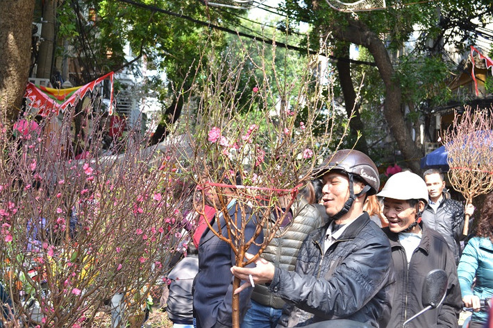 Hay cố gắng chọn mua nhanh một cành đào đẹp chơi Tết.
