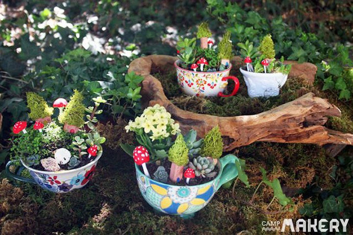 Những cốc trà nhỏ tạo thành những khu vườn nhỏ rực rỡ.