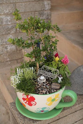 Những cây bonsai nhỏ được đặt trong chiếc cốc khiến chúng trở nên đáng yêu