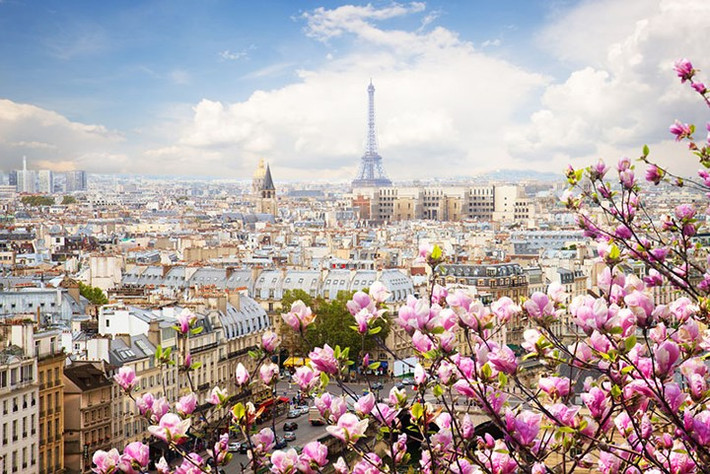 Paris, Pháp: Được biết tới là thành phố lãng mạn nhất thế giới, Paris chắc chắn là địa điểm cầu hôn bạn không thể bỏ qua. Ngoài tháp Eiffel, bạn có thể chiêm ngưỡng khung cảnh toàn thành phố từ trên đỉnh Sacre Coeur hay đi thuyền dọc dòng sông Seine.