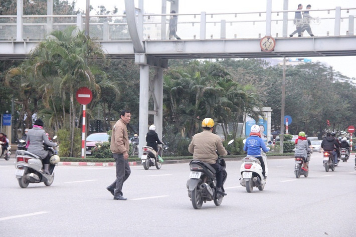 ... mà luồn lách giữa dòng xe để băng qua đường.