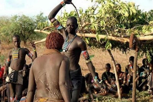 Trong khi đó các chàng trai ở một số vùng châu Phi như Mali, Nigeria và Cameroon muốn lấy vợ thì phải chứng minh bằng việc chịu đòn đau đớn.
