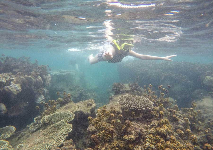 Tôi không nghĩ san hô ở đây đẹp đến thế, hơn cả Cù Lao Chàm, Koh Rong, Koh Samui...