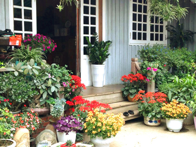 Các lối đi vào nhà đều tràn ngập sắc hoa, trong đó nhiều nhất là hoa hồng. Mỗi khi đến mùa xuân, các bông hoa đua nở, tạo nên khung cảnh lãng mạn, nên thơ. Ảnh: Phạm Hưởng