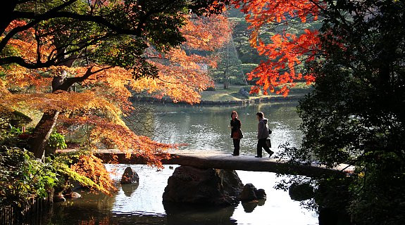 Khu vườn Rikugien, ở Tokyo được xem là một trong những điểm ngắm mùa thu Nhật Bản hút khách nhất đất nước mặt trời mọc. Mỗi độ thu sang, cả khu vườn tràn ngập sắc vàng, đỏ.