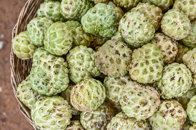 Người yêu thích quả na thường nhạy cảm và khiêm tốn. Suy nghĩ chín chắn nên những người này ít khi làm việc gì một cách nóng vội.