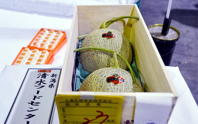 Hai trái dưa lưới được trồng ở vùng Hokkaido có vẻ ngoài bình thường nhưng giá cao kỷ lục lên tới 27.000 USD/cặp. (Ảnh: Asiaone)