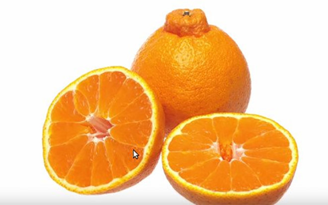 Cam Dekopon là sản phẩm lai giữa quýt và cam nổi tiếng về độ mọng của màng ngăn giữa các múi và có chất lượng thơm ngon tuyệt vời. Một túi gồm 6 quả cam Dekopon được bán với giá khoảng 80 USD. (Ảnh: daikinguyen)