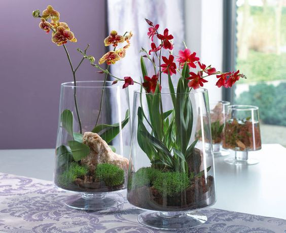 Hình ảnh những bông hoa lan đủ màu sắc dịu dàng được trồng trong những lọ thủy tinh mỏng manh khiến chị em công sở vô cùng thích thú, đua nhau mua về trồng để trang trí bàn làm việc. Ảnh: blooms.de.