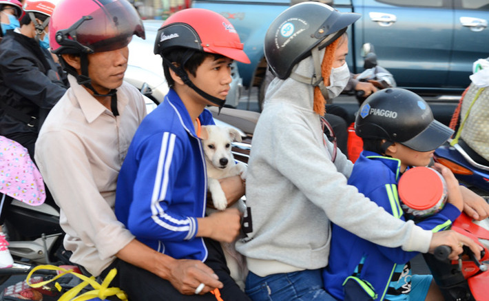 Do các tỉnh miền Tây không quá xa TP HCM nên người dân đã chọn phương tiện về quê bằng xe máy.