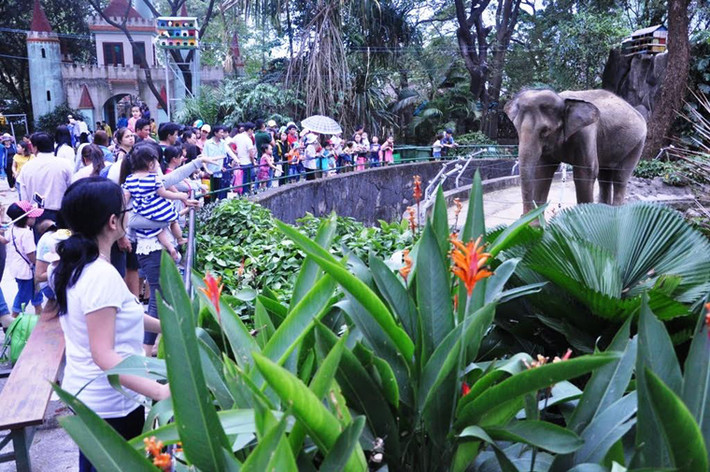 Lượng người tập trung đông tại khu vực các vườn thú và biểu diễn xiếc, đặc biệt là trẻ em
