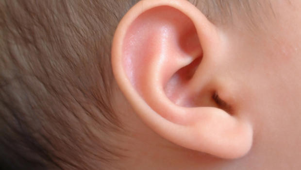 Tai hình dáng tựa cánh hoa sen là người sống nặng về tình nghĩa. Họ ít coi trọng đời sống vật chất, luôn giúp đỡ người xung quanh trong mọi hoàn cảnh. Ảnh minh họa: CBS News. (Bài viết chỉ mang tính chất tham khảo, cung cấp nội dung mang tính trắc nghiệm vui cho bạn đọc).