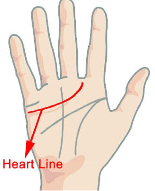Đường tình duyên có đường bắt chéo ngang qua là biểu hiện của phụ nữ rất hạnh phúc trong hôn nhân.