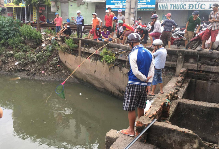 Khi phát hiện có cá trên kênh Nước Đen, nhiều người đã mang lưới, vợt và đủ loại vật dụng để bắt cá.