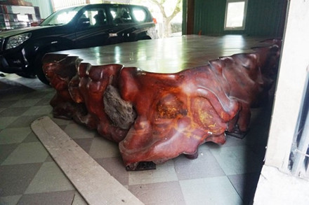 Kích thước của bộ ngựa dài 4,8 m, rộng 2,4 m, cao 0,8 m (gần 10m3 gỗ), hàng chục người có thể ngả lưng thoải mái. Trọng lượng 4,2 tấn. Riêng chi phí thuê chở từ Lào về Việt Nam là 70 triệu. Ảnh: Lao Động.