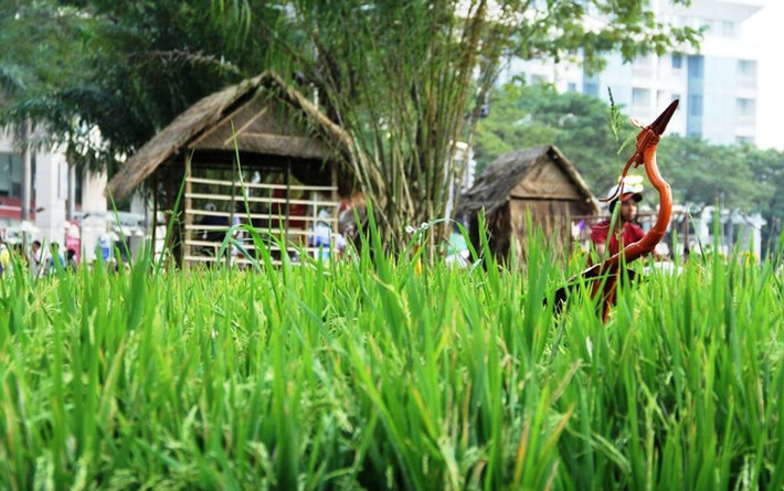 Những cánh đồng lúa, những con đường mòn ở ruộng lúa, mái nhà tranh…rất làng quê được tái hiện ở hội hoa xuân. “Nhìn hình ảnh cánh đồng lúa với những người rơm tôi nhớ nhà quá. Tết này tôi không về nên cũng buồn”, chị Nguyễn Quỳnh Trang ngụ quận 7 chia sẻ.