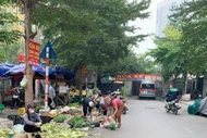 Hà Nội lên kế hoạch giải tỏa toàn bộ 'chợ cóc'