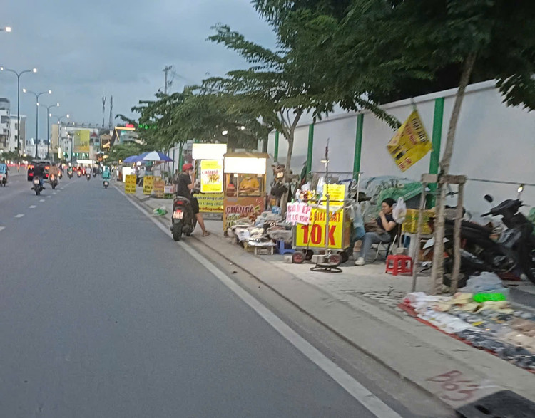 Vỉa hè nguy cơ thành chợ là việc đang hiện hữu. hang-rong-03.jpg