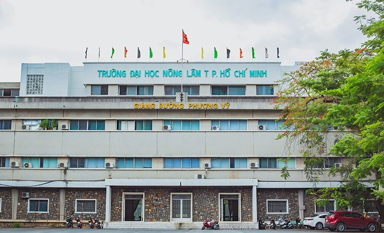 Một góc Trường Đại học Nông Lâm TP Hồ Chí Minh dai-hoc-nong-lam-tp-hcm-1.jpg