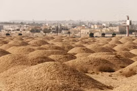  Lạc vào 'thành phố của người chết' nghìn tuổi giữa sa mạc Bahrain