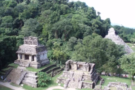 Bí ẩn khó giải nhất của đế chế Maya, chuyên gia bó tay?