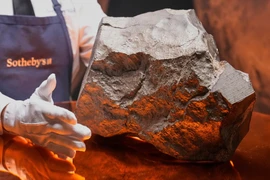 Thiên thạch Sao Hỏa đắt nhất lịch sử vừa có chủ nhân mới