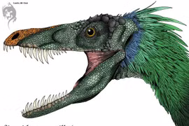 Choáng với loài khủng long có độc, cơ thể phủ đầy lông vũ 