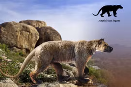 Khó tin loài 'chó lai gấu' nặng nửa tấn, săn mồi tàn bạo 