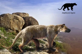 Khó tin loài 'chó lai gấu' nặng nửa tấn, săn mồi tàn bạo 