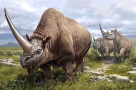 'Quái thú' 4 tấn sừng dài 1,5 mét khiến giới khảo cổ sốc nặng