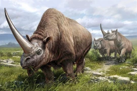 'Quái thú' 4 tấn sừng dài 1,5 mét khiến giới khảo cổ sốc nặng