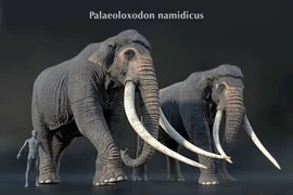 Loài voi nặng 15 tấn, ngà dài 4 mét từng thống trị lục địa Á - Âu