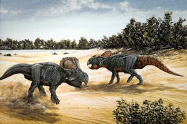 Giải mã loài khủng long cổ đại từng được xem là rồng châu Á