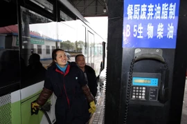 Lộ trình chuyển đổi sang xăng sinh học 