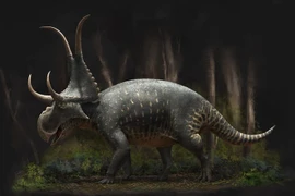 Khám phá loài khủng long mang cặp sừng quỷ dữ, tên đầy ám ảnh 