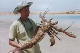 Loài bọ cạp đáng gờm nhất từng tồn tại trên Trái Đất