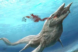 Loài vật được mệnh danh “kẻ săn mồi tối thượng” dưới biển kỷ Phấn Trắng 