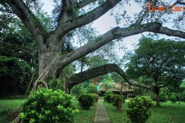 Ghé thăm cái nôi của Cách mạng Tháng 8