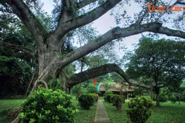 Ghé thăm cái nôi của Cách mạng Tháng 8