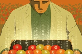 3 điều tránh nói tại công sở người EQ cao thường làm