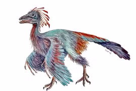 'Chim nguyên thủy' nổi tiếng nhất hành tinh giấu bí mật tiến hóa khủng long