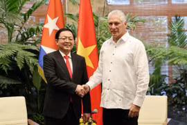 Phó Thủ tướng Hồ Quốc Dũng gặp Bí thư thứ nhất, Chủ tịch Cuba Miguel Díaz-Canel
