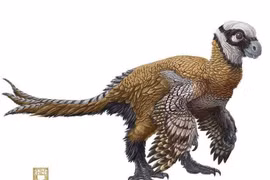 Ẩn số khó giải về loài khủng long có bộ răng kỳ dị nhất hành tinh