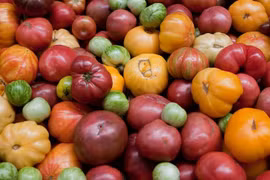 Sự thật khó tin ít người biết về cây cà chua